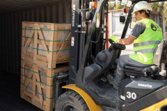 Screenshot-from-2025-09-30-17-11-00